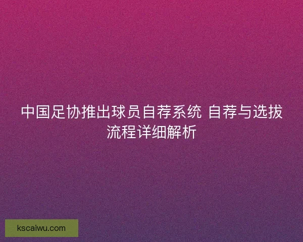 中国足协推出球员自荐系统 自荐与选拔流程详细解析