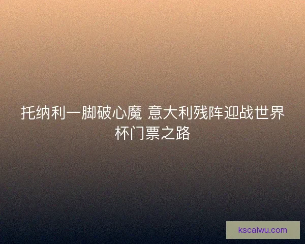 托纳利一脚破心魔 意大利残阵迎战世界杯门票之路